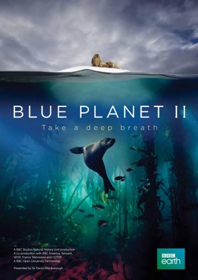Film Still aus - Der blaue Planet 2: Unbekannte Ozean